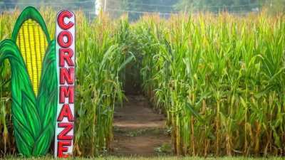 NEWBORN FOR THE GOD OF CORN