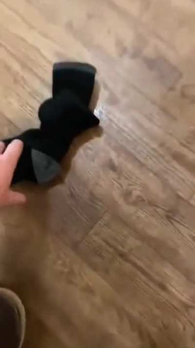 Professional nutter