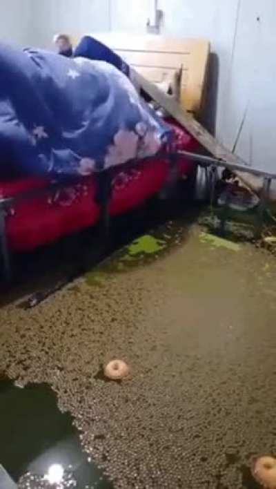 hmm