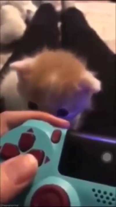 One tasty fingy