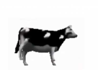 Polish Cow