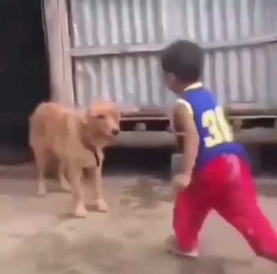 Wat the dog doin