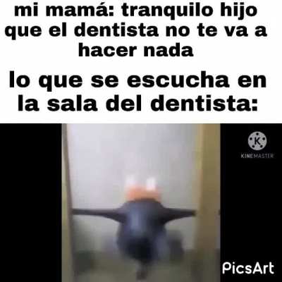 Xd