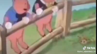 Xd