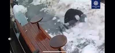 Karma instantaneo