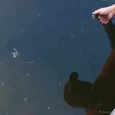 Mindblowing hook .