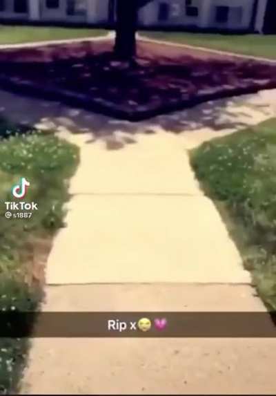kill