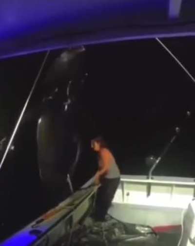 Unit of A Tuna