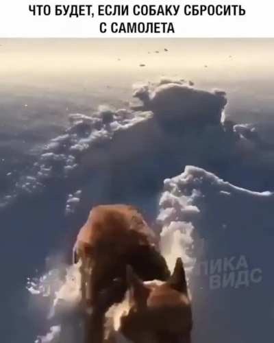 Хоба!