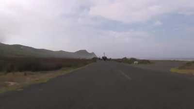 Cyclists chased by an Ostrich