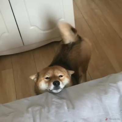 good morning :3