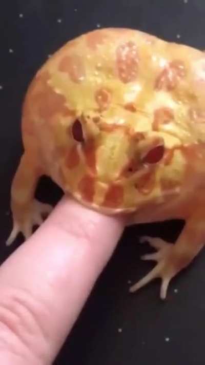 Please let go