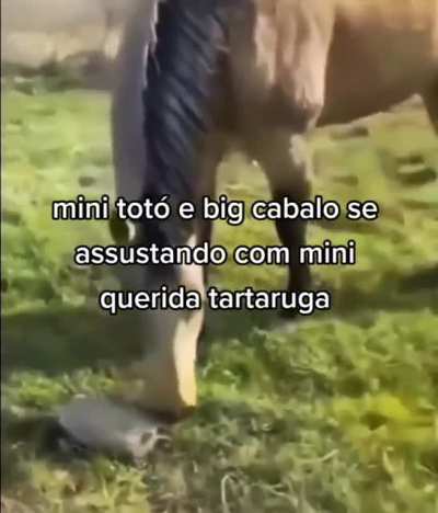 Que susto!!!