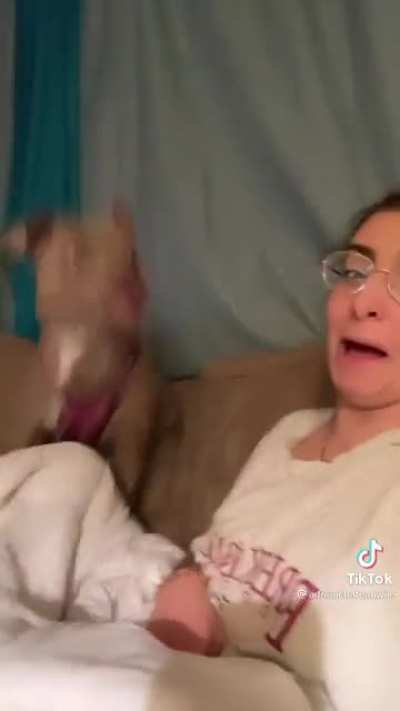 "I DARE You to say that again!?!?"