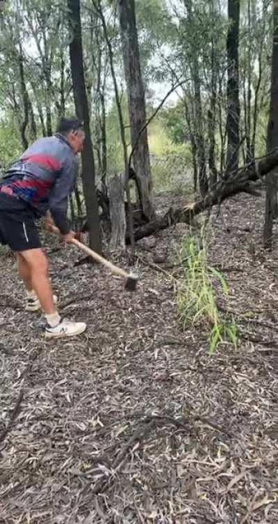 This happened a few months ago with my dad after we bought that axe. It had like 5 hits