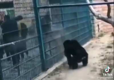 Just a regular day at the zoo &hellip;