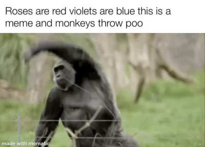 It&rsquo;s true they throw poo to