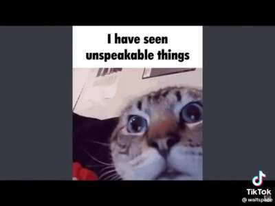 memes i guess