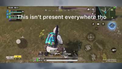 Some graphical changes in Chinese BR