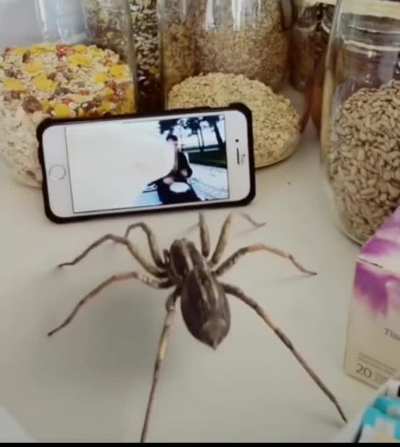 hmmmmmm