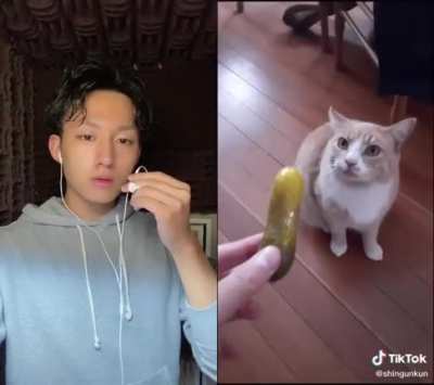 ~meow~