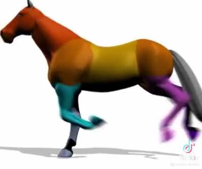 horse