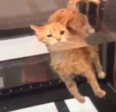Bath time