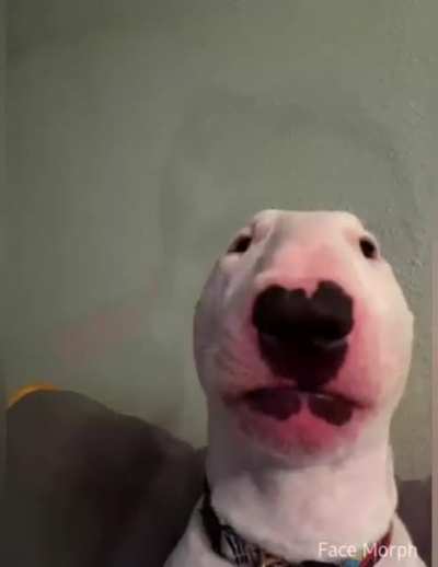 ﷽