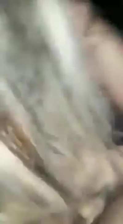 ..
