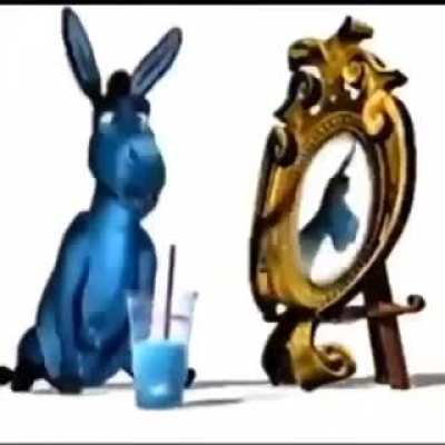bloo