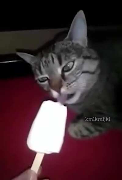 Brain Freeze