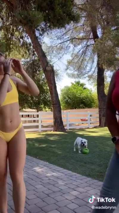 Bootay