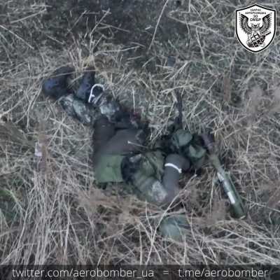 If you close your eyes and stay very still, maybe it won't see you. 🇺🇦 Aerobomber 30th Mechanized Brigade