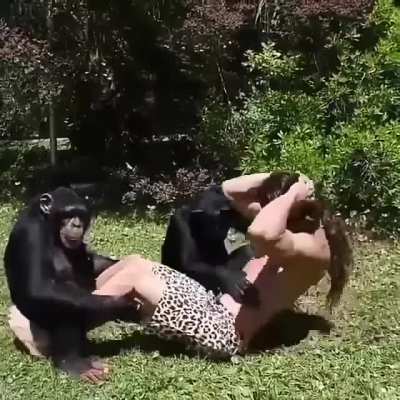 Embrace MONKES