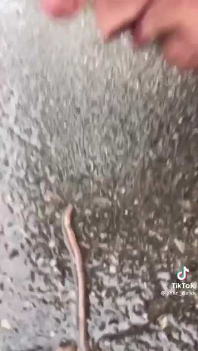 i cant even watch it myself tbh