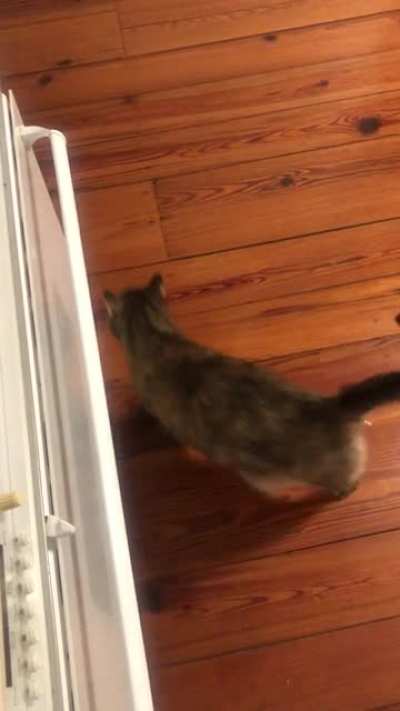 The ol&rsquo; Squeak n&rsquo; Spin (and a little Sit)