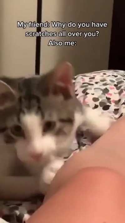 Awww