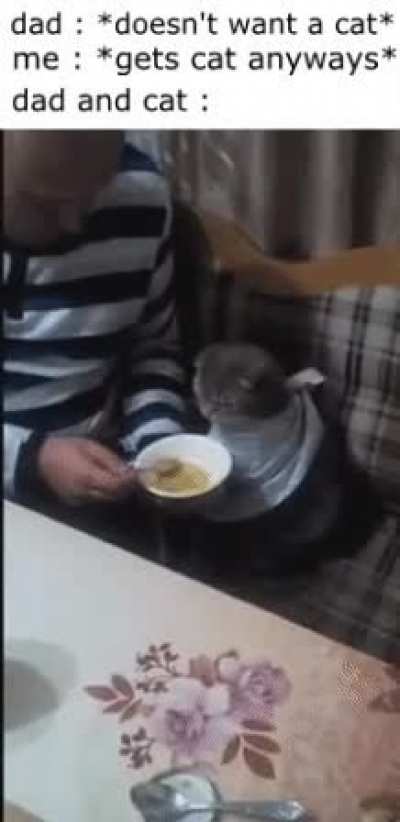 gotta make sure it eats all its food.