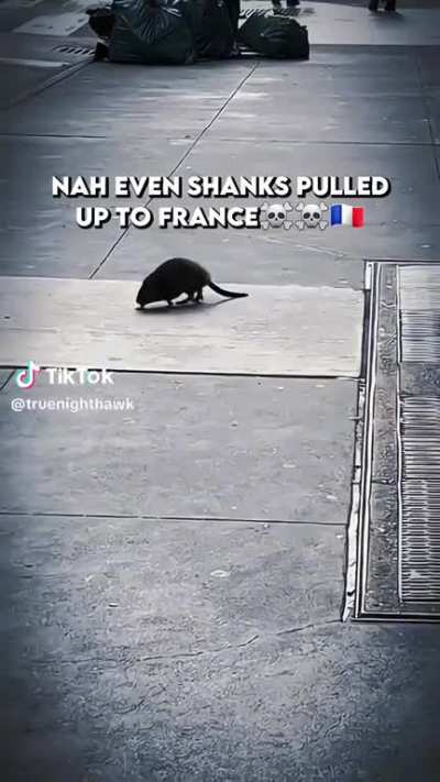 Rat D. Snitch 
