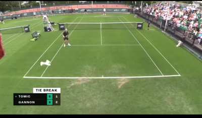 ATP Challenger 75 Dublin - a seagull suddenly interrupts the match to steal a banana from the player's seat