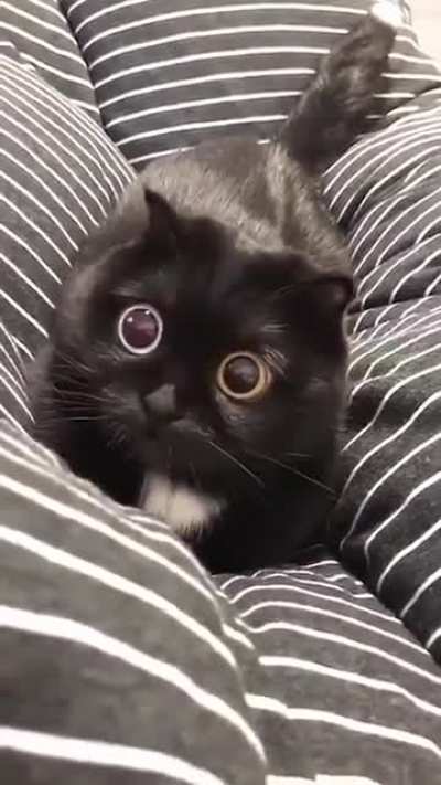 When all the drugs kick in at once
