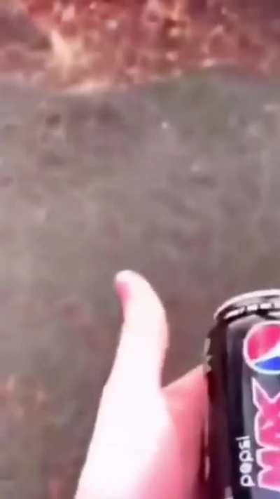 Coca-Cola is better than Pepsi 