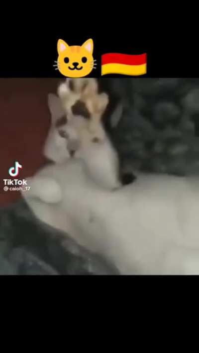 ooooomaaagaaa