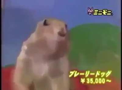 Luangameplay666 - Video #1000