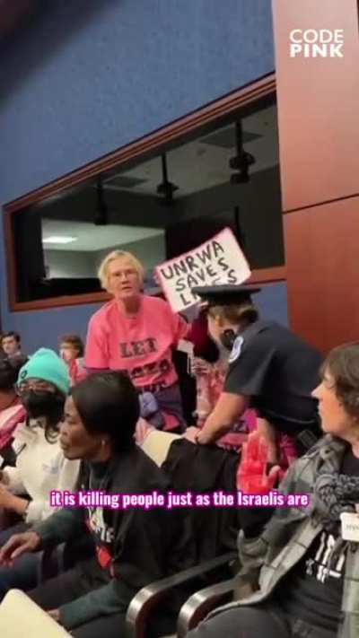 &ldquo;I&rsquo;m 77 years old, I&rsquo;m an army colonel, I&rsquo;m a retired diplomat, and what the US is doing is part of the genocide. It&rsquo;s a genocide that the Biden administration is complicit in.&rdquo; - Col. Ann Wright (Ret.) at the House hearing on defunding UNRWA.