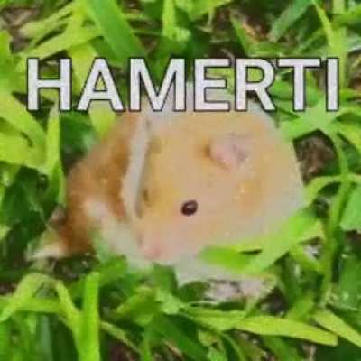 O famoso hamerti