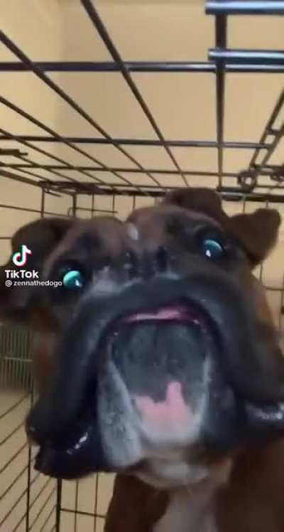 Floppy boy