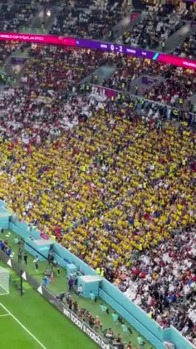 Ecuadorian fans chanting "Queremos Cerveza!" meaning "We want beer!" during the opening world cup match in Qatar. Qatar U-turned 2 days before the start of tournament in banning the sale of alcohol in regular seating sections of stadiums