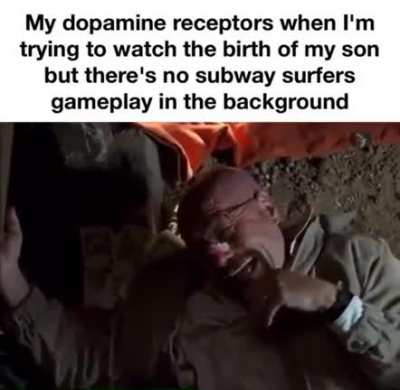 no attention span whatsoever