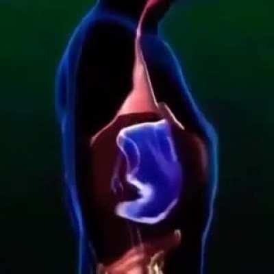 Sex